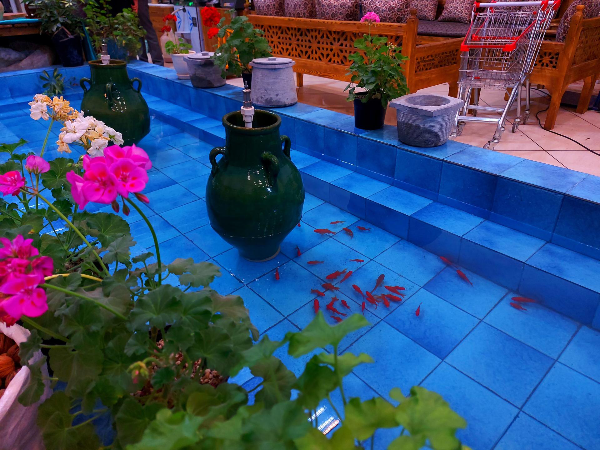 عکس عطاری حال خوب