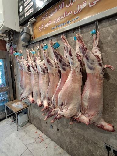 سوپر پروتئینی نمونه تهران