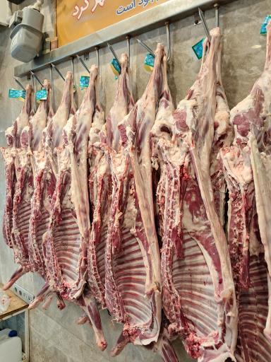 سوپر پروتئینی نمونه تهران