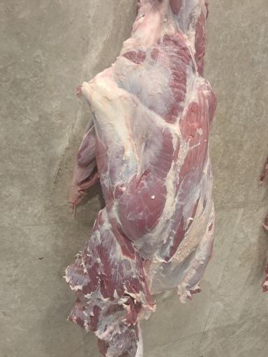 عکس سوپر پروتئینی نمونه تهران