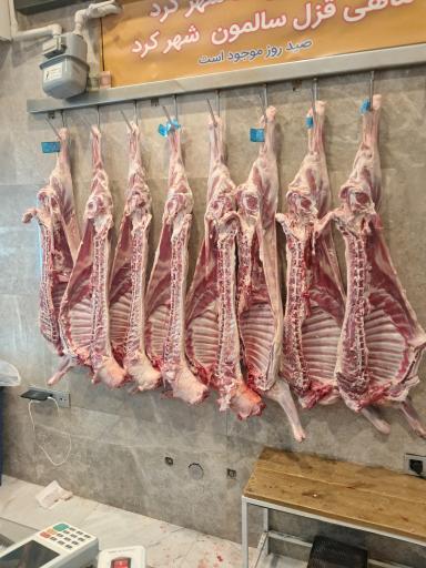 عکس سوپر پروتئینی نمونه تهران