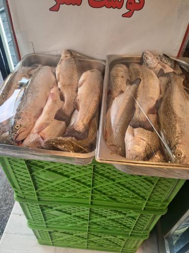 عکس سوپر پروتئینی نمونه تهران