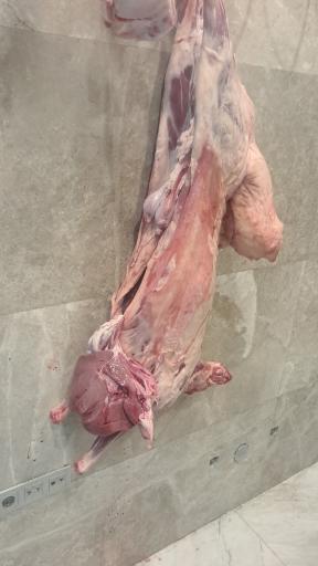 عکس سوپر پروتئینی نمونه تهران