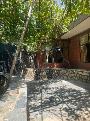 عکس باغ گل یخ