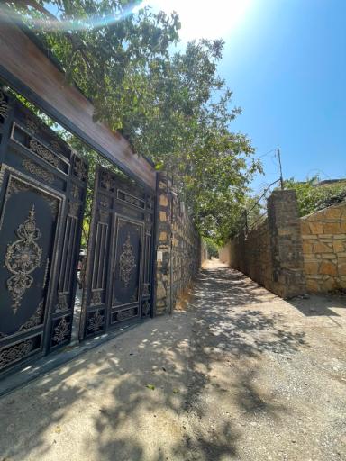 عکس باغ گل یخ