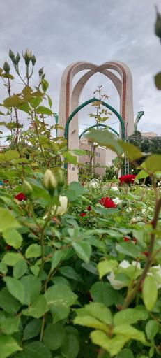 عکس بوستان شهید محمد علی مبارک