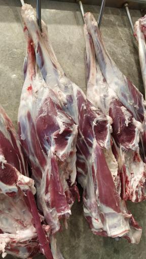 عکس سوپر پروتئینی نمونه تهران