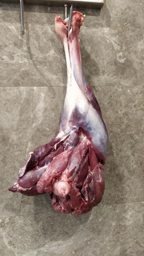 عکس سوپر پروتئینی نمونه تهران