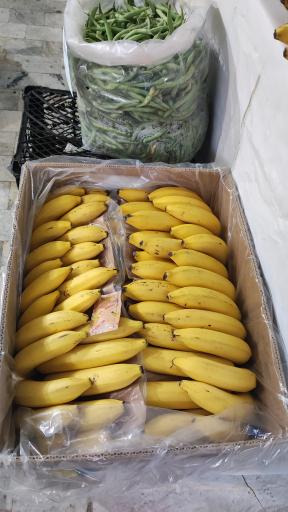 عکس هایپر میوه باقری