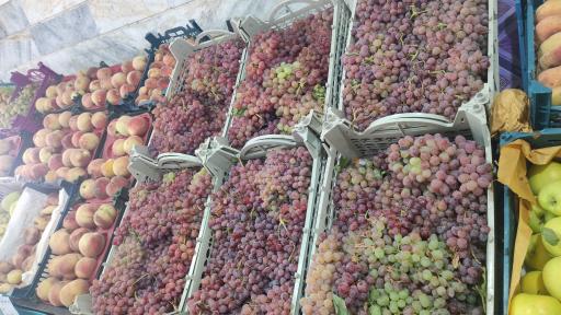 عکس هایپر میوه باقری