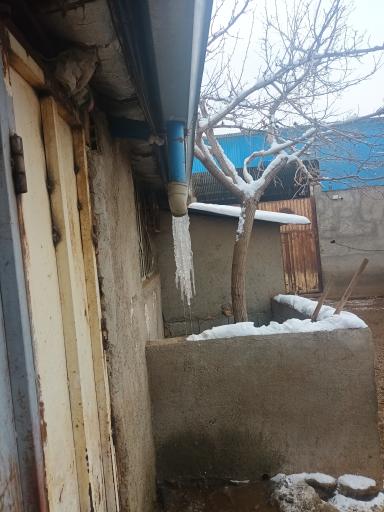 عکس دامداری برادران کمالی