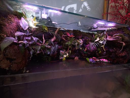 عکس آکواپت متین