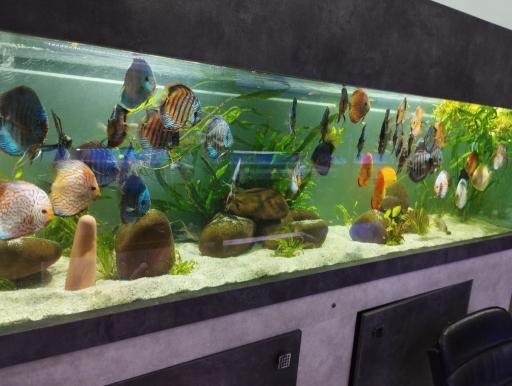 عکس آکواپت متین