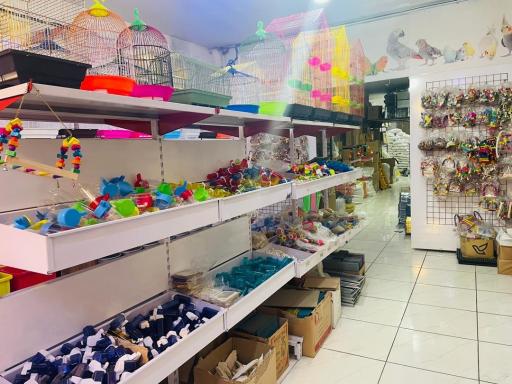 عکس پخش دان کسری