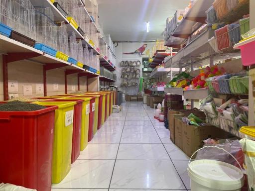 پخش دان کسری