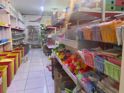 پخش دان کسری