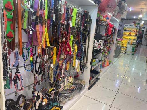 عکس پخش دان کسری