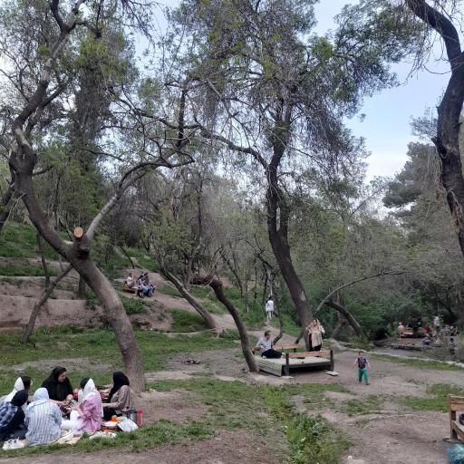 عکس باغ ملک