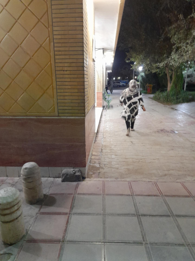 عکس سرویس های بهداشتی 