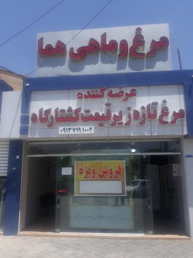 عکس فروشگاه مرغ و ماهی هما