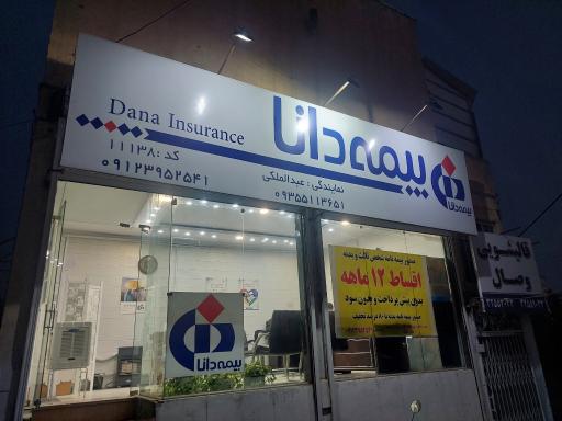 عکس نمایندگی بیمه دانا کد 11138