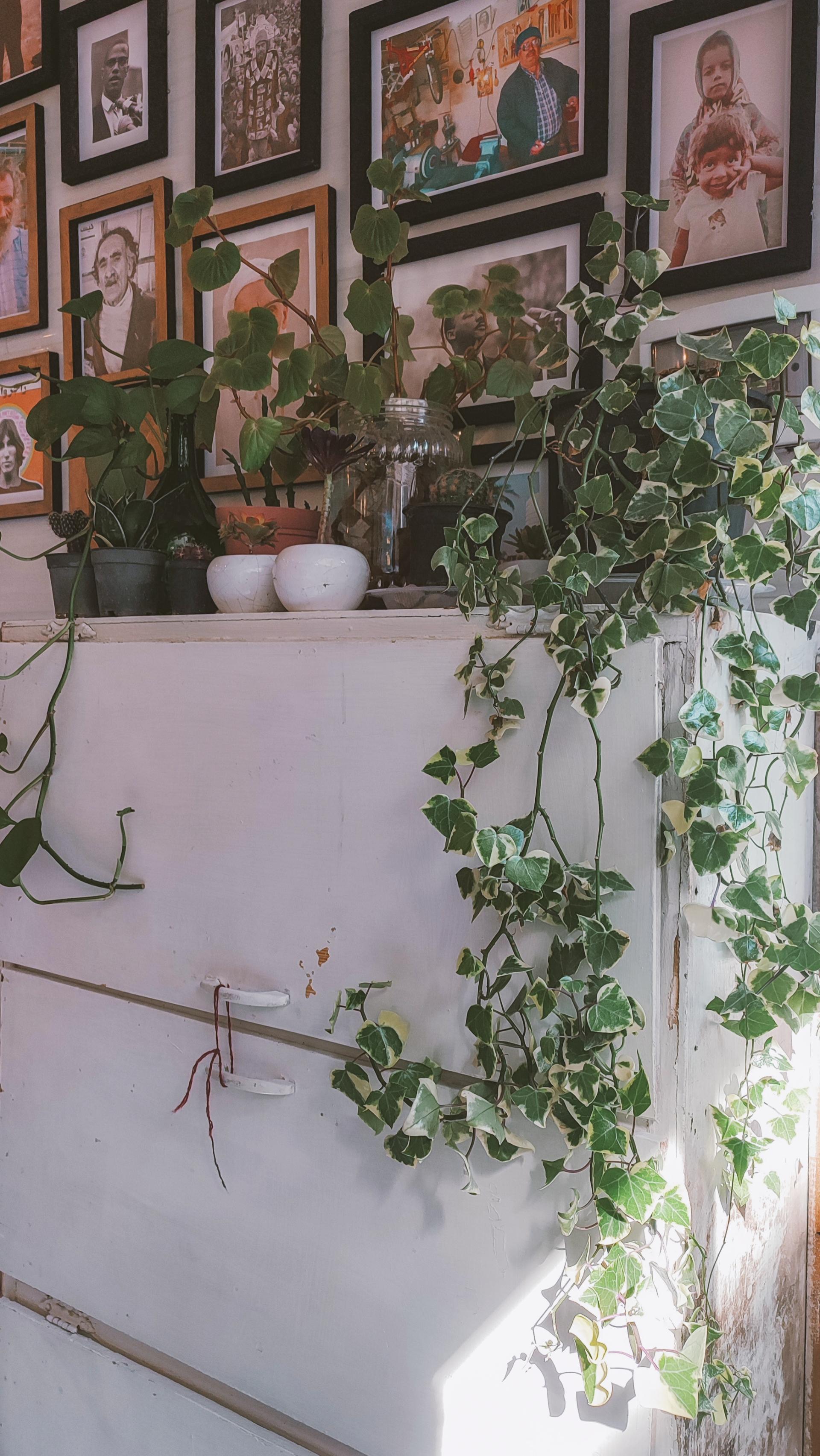 عکس کافه گالری سیزده دوم