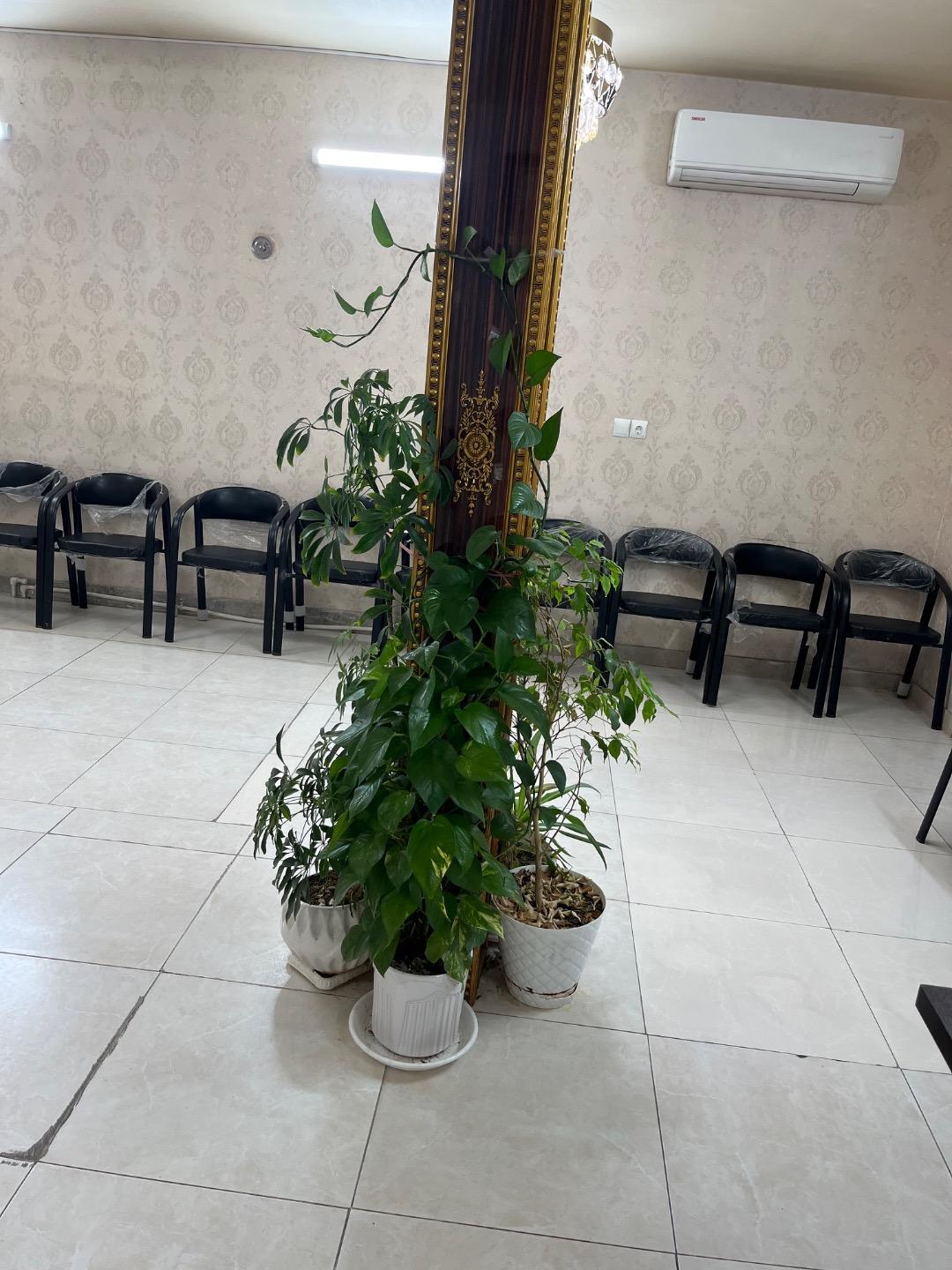 عکس دفتر ازدواج ۶۹ و طلاق ۶ رباط کریم