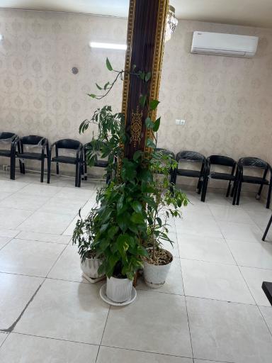 عکس دفتر ازدواج ۶۹ و طلاق ۶ رباط کریم