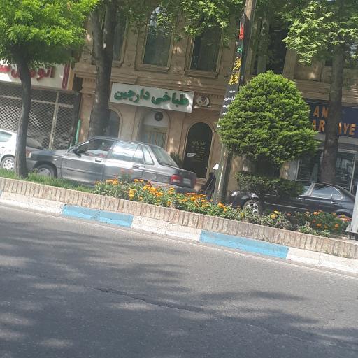 عکس طباخی دارچین