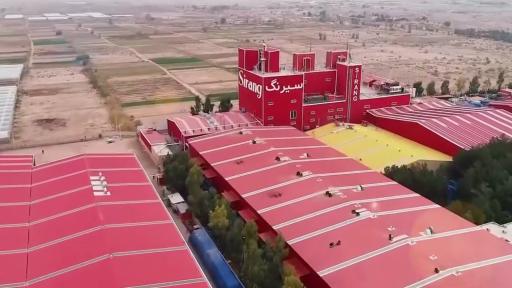 شرکت سیرنگ یزد
