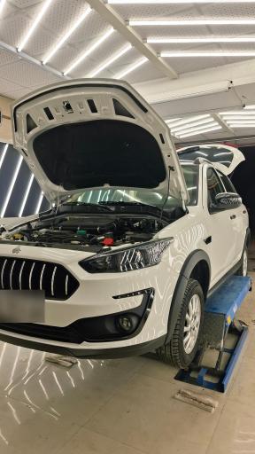 عکس تشخیص رنگ و دیتیلینگ مهدی شاین