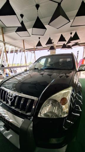 عکس تشخیص رنگ و دیتیلینگ مهدی شاین