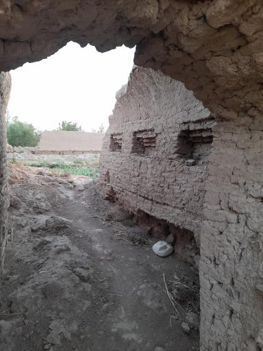 عکس مزرعه کلانتر