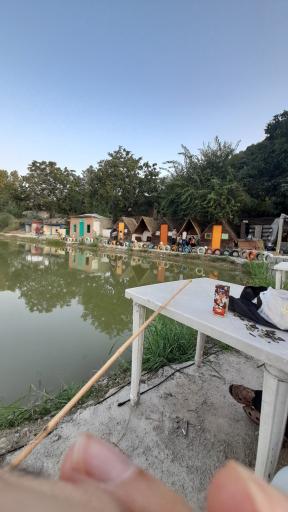 عکس دهکده ماهی