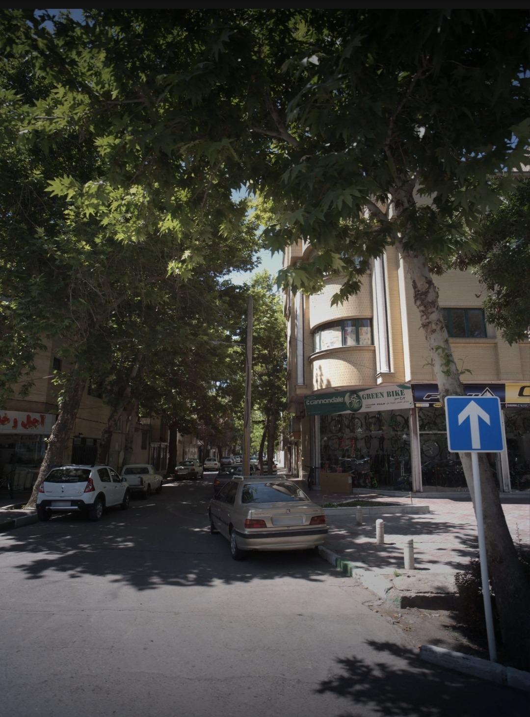 عکس فروشگاه دوچرخه چرخ سبز