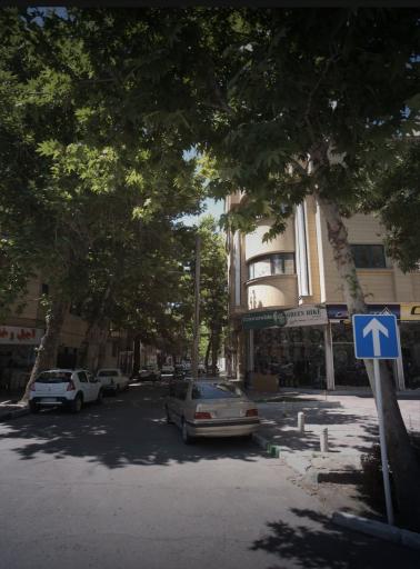 عکس فروشگاه دوچرخه چرخ سبز