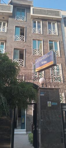 عکس سونوگرافی پونک