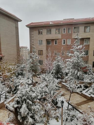 عکس مجتمع نسیم