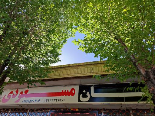 عکس مبل مسعودی 