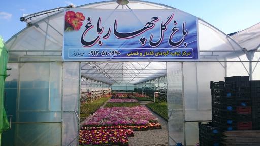 گلخانه باغ گل چهارباغ