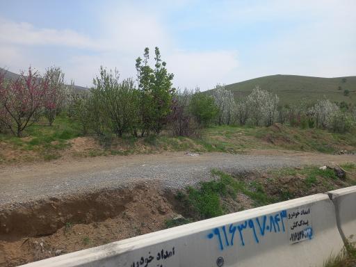 عکس بوستان پوریای ولی