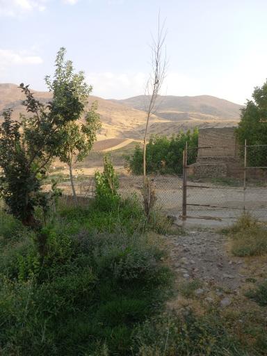 عکس بوستان پوریای ولی