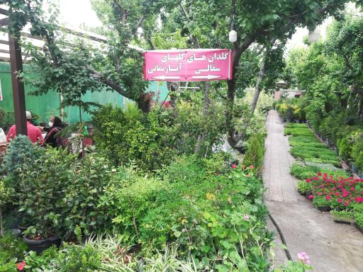 عکس گل سرای فردوسی