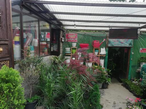 عکس گل سرای فردوسی