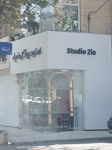 استودیو گل ضیاء