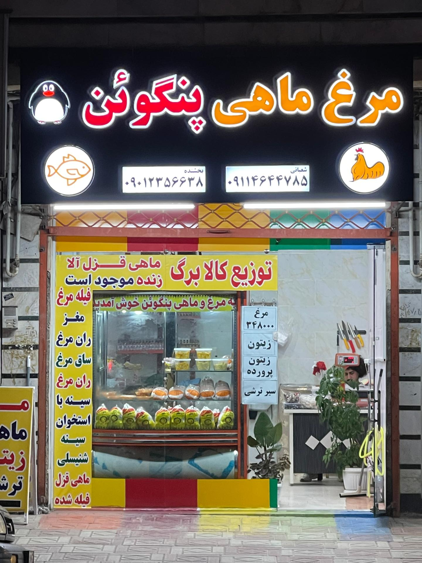 عکس مرغ ماهی پنگوئن