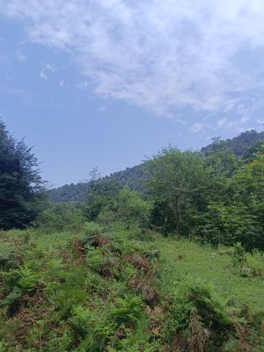 عکس تنگه بهشت