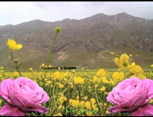 عکس کوه الوند