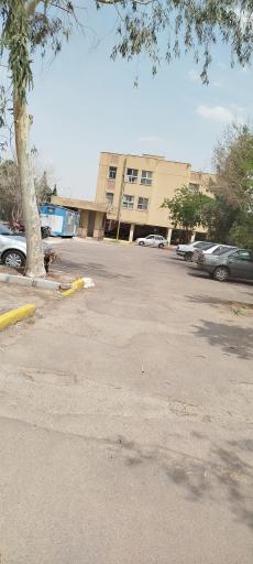 عکس مجتمع گل ها بهارستان