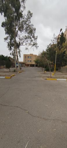 عکس مجتمع گل ها بهارستان